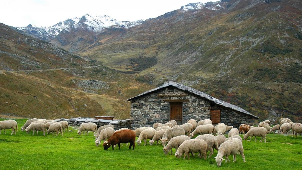 excursion rando l'ete a la location de vacances azureva les menuires 