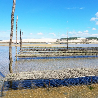 votre village vacances decouverte en bretagne a hauteville sur mer
