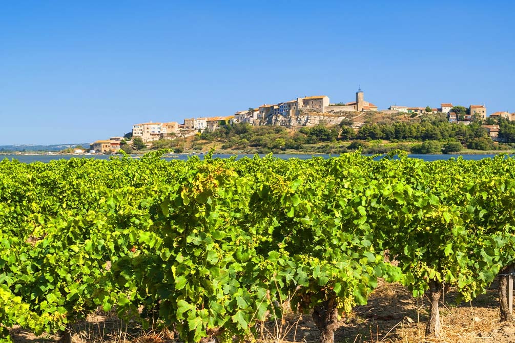 chateau du lac du domaine vignoble avec le camping azureva sigean 