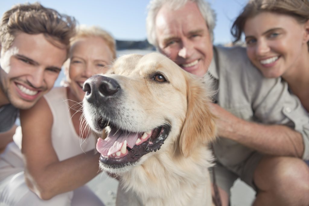 Famille avec chien en premier plan