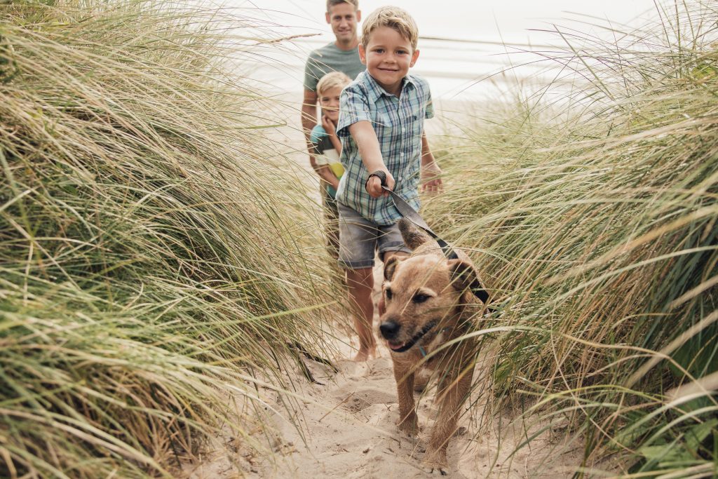 promenade avec son chien a la plage 