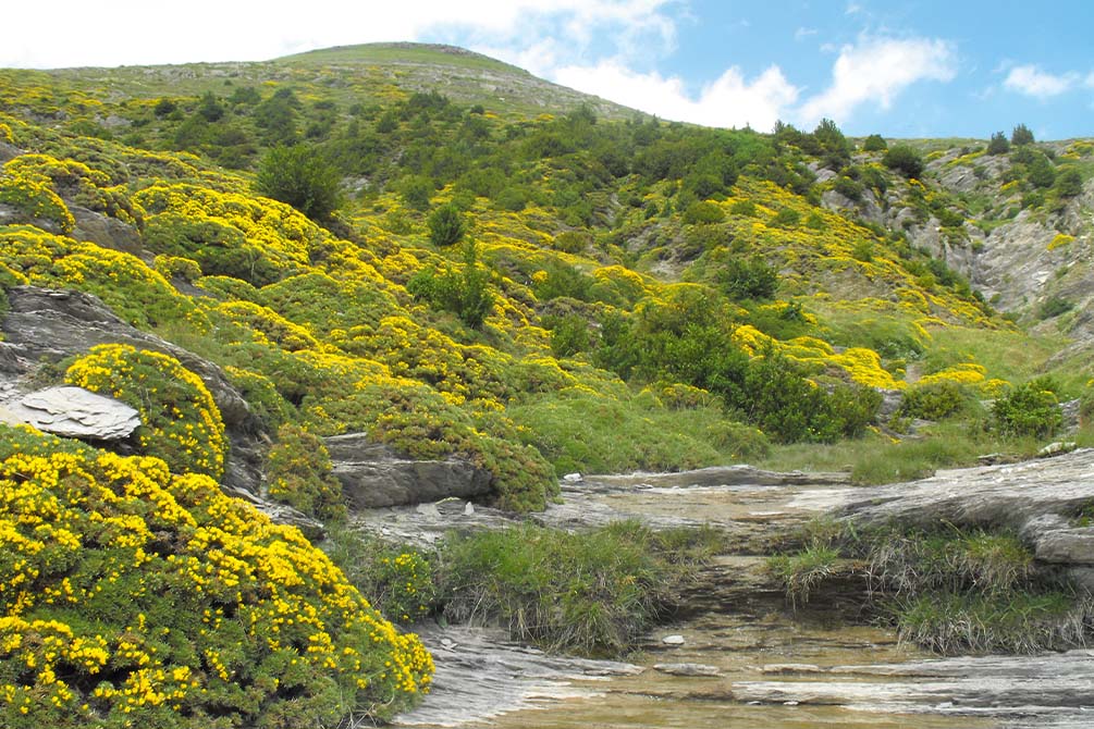 la nature a la location de vacances azureva a piau engaly 