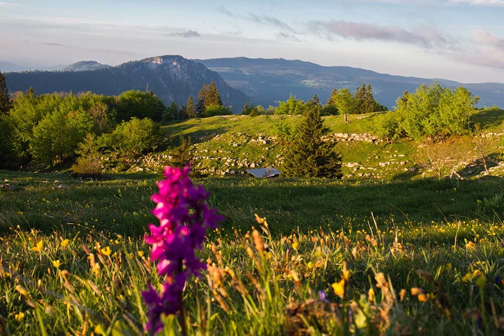 la nature a la montagne avec la location de vacances azureva a metabief dans le jura 