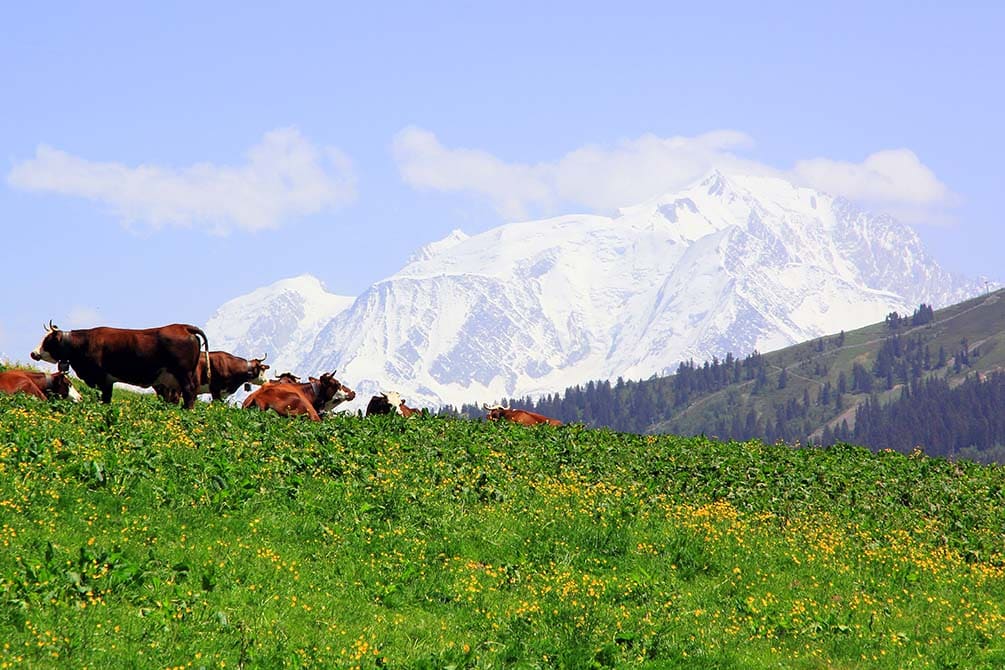 les montagnes de savoie de la location de vacances azureva a la clusaz les aravis 2