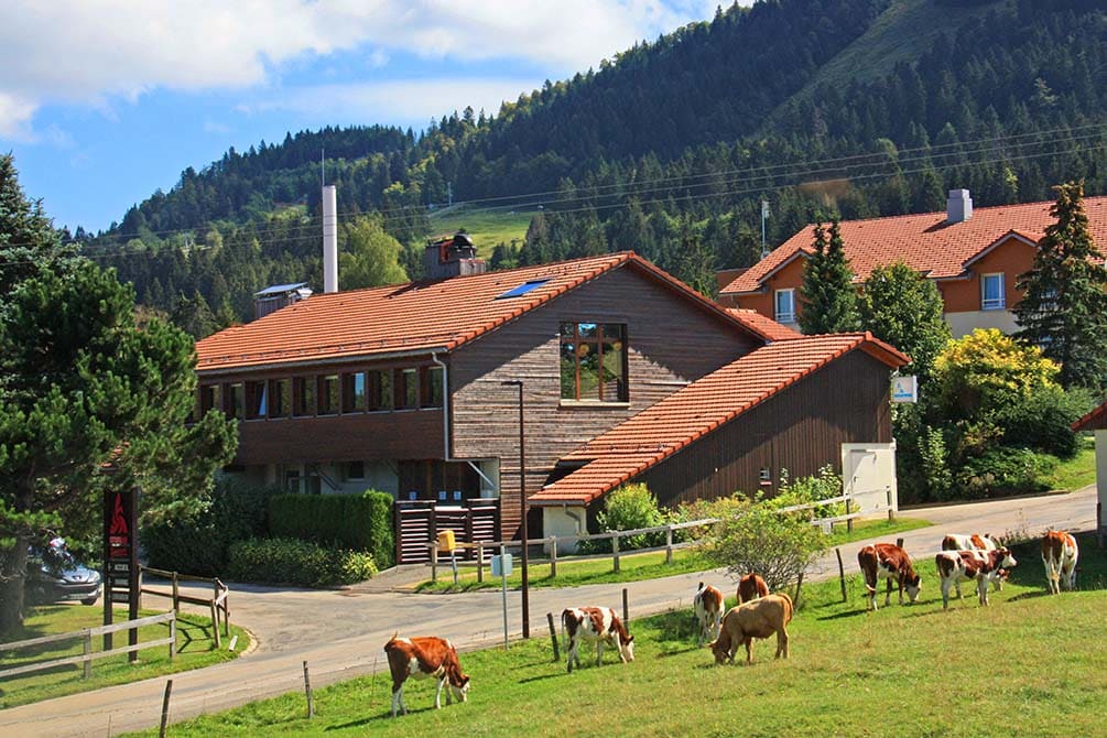 la montagne l'ete au village vacances azureva metabief dans le jura 
