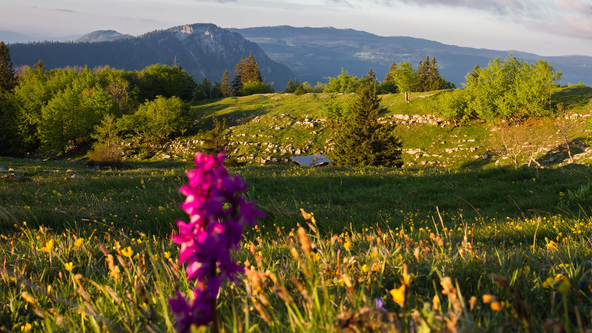 montagne et nature au village vacances azureva metabief dans le jura  