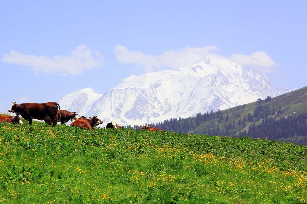 la montagne en savoie avec le village vacances azureva de la clusaz les confins 