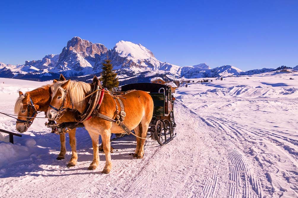 du traineau avec le village vacances azureva de la clusaz les confins 